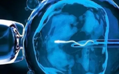 廈門(mén)市海滄醫(yī)院做試管的費(fèi)用是多少