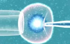 泰國(guó)做試管真實(shí)經(jīng)歷