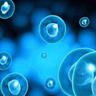 胚胎移植手術(shù)