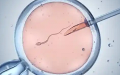 武漢市中心醫(yī)院試管嬰兒準備費用十萬夠嗎