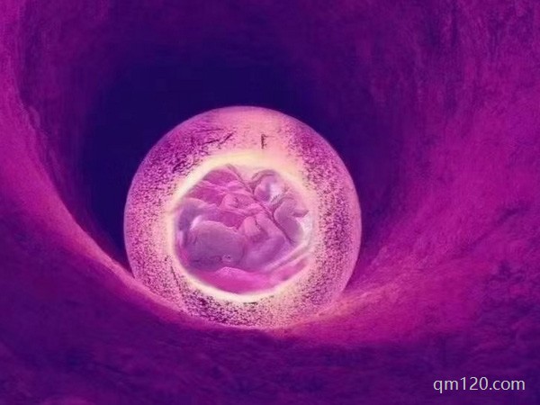 試管長(zhǎng)方案適合什么人用