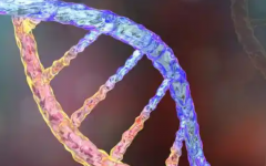 無錫市試管助孕中心試管全部費(fèi)用大概是多少