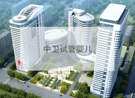 中衛(wèi)試管嬰兒