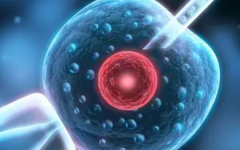 去泰國(guó)做試管需要多少時(shí)間