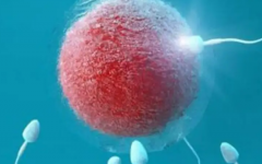 中國去泰國做試管價格