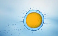 西安醫(yī)學(xué)專業(yè)第二附屬醫(yī)院試管收費(fèi)價(jià)目一覽表