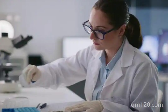 胚胎12細胞2級成功率怎么樣