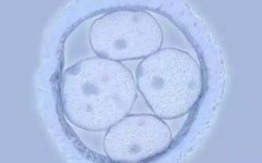 昆明醫(yī)科大學(xué)第二附屬醫(yī)院試管費(fèi)用