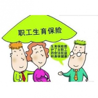 生育保險(xiǎn)