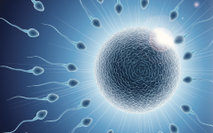 貴陽市第二試管助孕中心做試管費用報銷多少