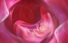 泰國(guó)出生證如何在中國(guó)上戶口