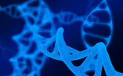 靖西醫(yī)院做試管費(fèi)用明細(xì)