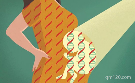 第三代試管嬰兒