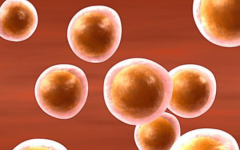 長沙江灣試管?？漆t(yī)院試管價格