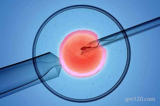 試管長方案降調(diào)28天