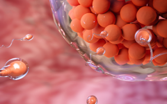宜昌市中心試管助孕中心試管嬰兒收費(fèi)價目表
