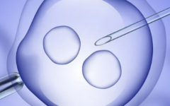 石河子大學(xué)第一附屬醫(yī)院試管嬰兒費(fèi)用