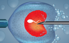 廣東省第二試管助孕中心做試管一共多少