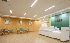 國內(nèi)三大助孕公司