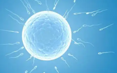 男人不育可以試管嗎