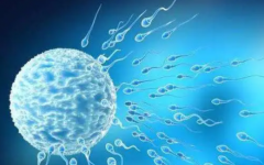 邵陽中心醫(yī)院試管嬰兒花費多少錢