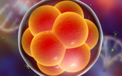 山西私立試管醫(yī)院試管收費(fèi)標(biāo)準(zhǔn)