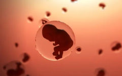 做了兩次試管都不成功怎么辦