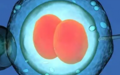 泰國三代試管花費太高了