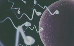 正常人可以做試管嬰兒?jiǎn)?>
            <div   id=