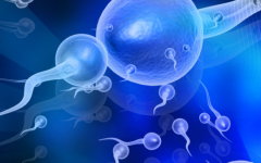 上饒第五試管助孕中心試管嬰兒的費用明細(xì)表