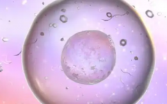 三明市西眾醫(yī)院試管嬰兒費(fèi)用