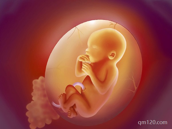 太原試管好還是鄭州好