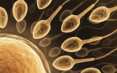 梅毒攜帶者可以做試管嬰兒?jiǎn)?>
            <div   id=