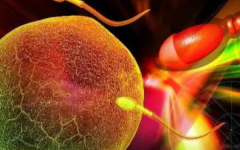 內(nèi)江市婦幼保健院試管嬰兒費(fèi)用