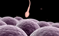 做泰國試管嬰兒應(yīng)做哪些準(zhǔn)備