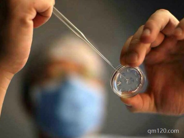 試管移植放入過程