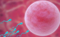 達(dá)州市中心醫(yī)院試管費用多少