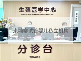 柬埔寨私立試管機(jī)構(gòu)