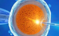 格魯吉亞試管技術(shù)怎樣