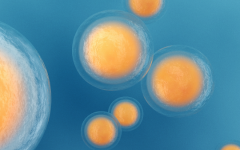 安徽輔助生殖醫(yī)院試管價(jià)目表