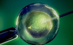 女人四十歲以上適合做幾代試管嬰兒