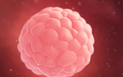 昆明市第一試管助孕中心試管嬰兒多少錢