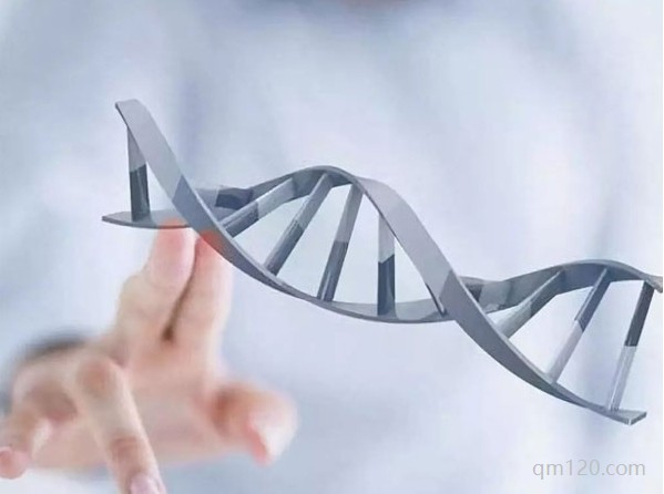 混血兒第三代有問題嗎