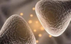 山西省試管助孕中心做試管費(fèi)用總共多少