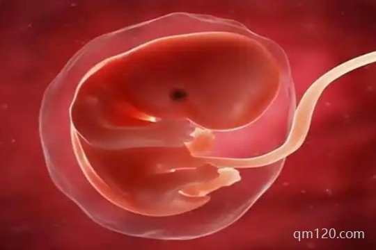 做試管嬰兒的親身經(jīng)歷