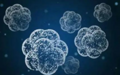 深圳恒生醫(yī)院試管嬰兒成功率介紹