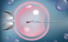 一胎試管多胎試管成功率高嗎