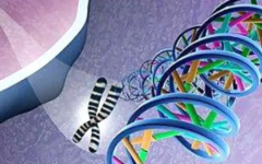 溫州附一醫(yī)院做試管的費用明細