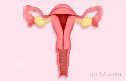 弓形子宮能正常生育嗎