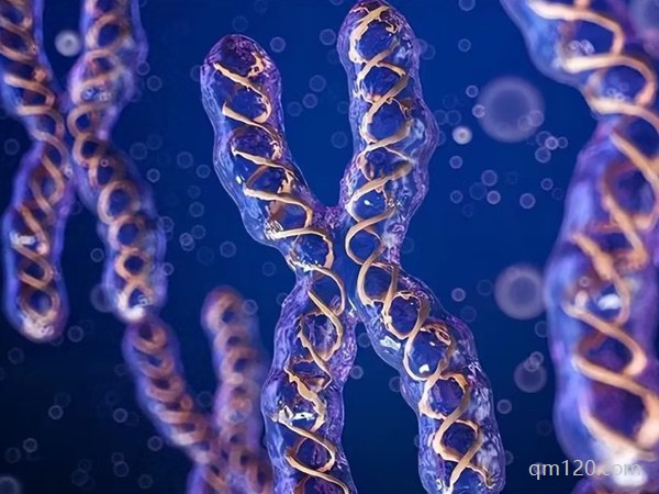 三代試管后孩子畸形率